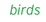 birds