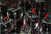Arbitrary Studies: 12 Metronomes